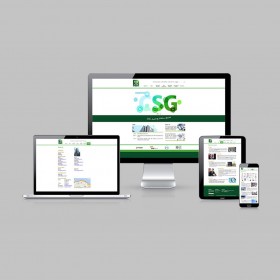 CSG Consumer Search Group Website